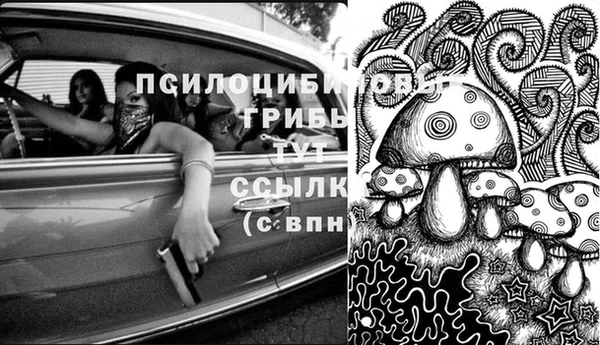 бутират Алексеевка