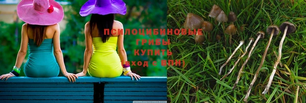 спайс Алзамай