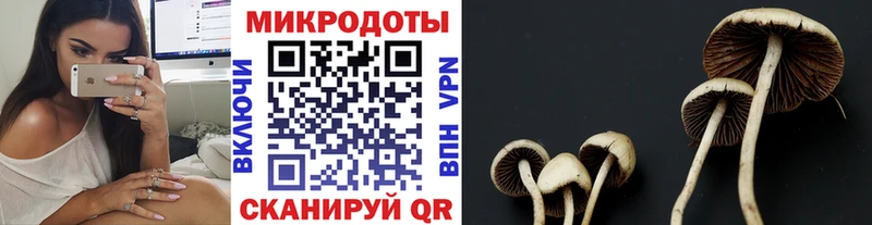 Псилоцибиновые грибы Cubensis  площадка официальный сайт  Апрелевка  кракен как войти 